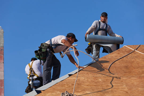 Best Roof Restoration Services  in Cridersville, OH