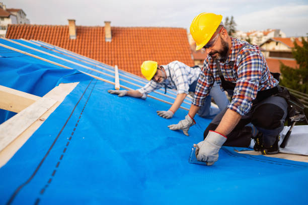 Best Sealant for Roof  in Cridersville, OH