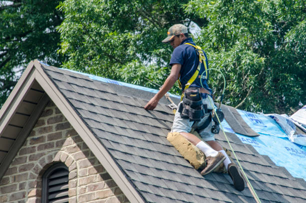 Best Gutter Installation and Roofing  in Cridersville, OH